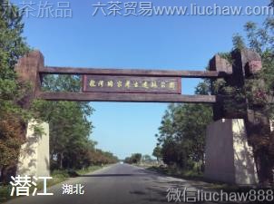 ����-Ǳ��