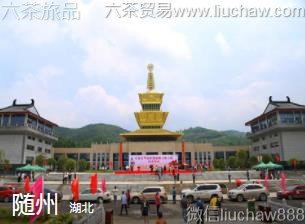 ����-����