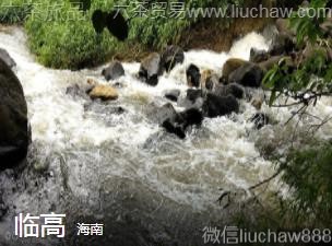 ����-�ٸ�