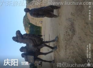 ����-����