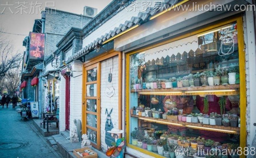 ����-�������