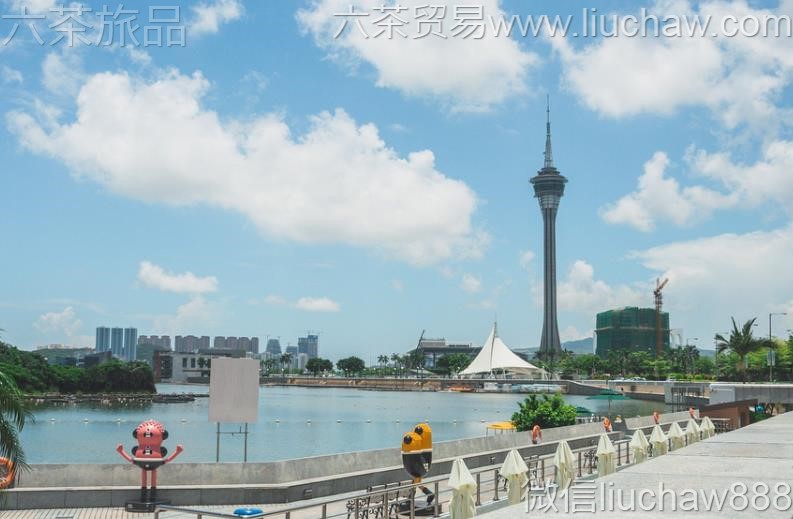 ����-������