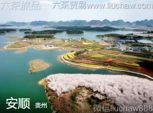 ����-��˳.