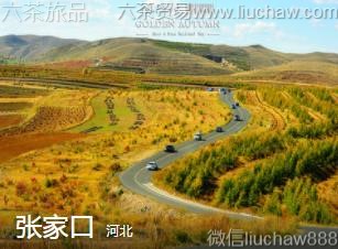 �ӱ�-�żҿ�.