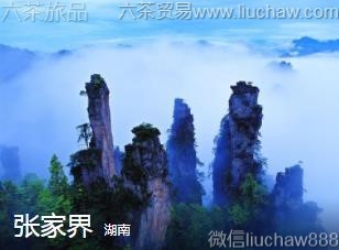 ����-�żҽ�.