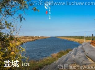 ����-�γ�.