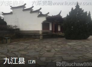 ����-�Ž���