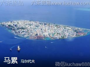 ��������-����