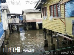 ��������-ɽ���