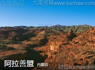 ���ɹ�-��������.