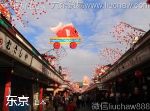 �ձ�-����