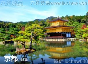 �ձ�-����