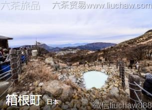 �ձ�-����