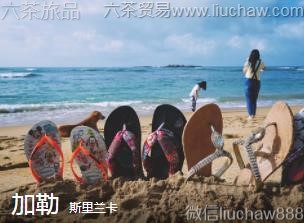 ˹������-����