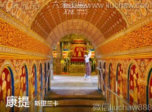 ˹������-����