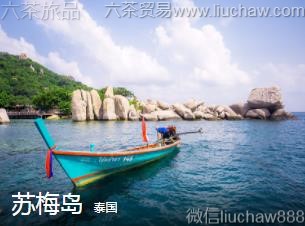 ̩��-��÷��