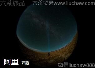 ����-����.