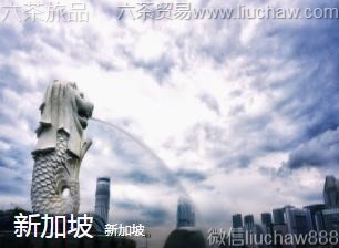 �¼���-�¼���