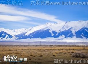 �½�-����.