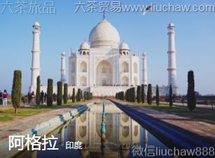 ӡ��-������