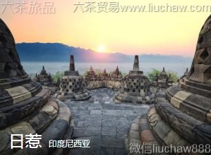 ӡ��������-����