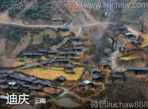 ����-����.