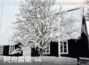 ����-��������