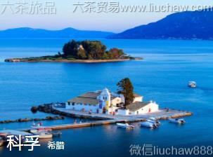 ϣ��-����