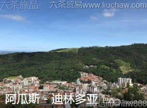 ����-����˹�����ֶ���