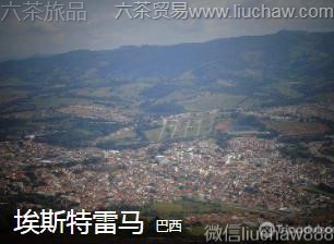 ����-��˹������