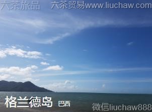 ����-�����µ�