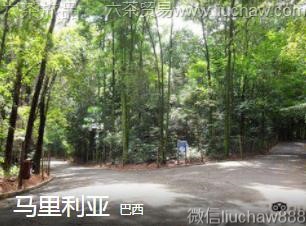 ����-��������