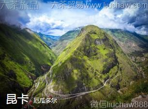 ��϶��-����