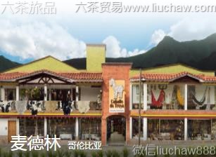 ���ױ���-�����