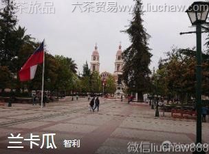 ����-������