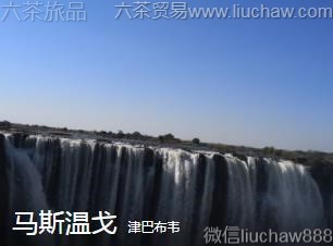 津巴布韦-马斯温戈