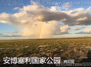 肯尼亚-安博塞利国家公园