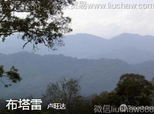 ¬����-������