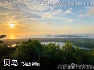 �����˹��-����