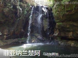 �����˹��-������������