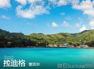 �����-���ϸ�