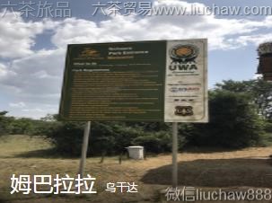 �ڸɴ�-ķ������