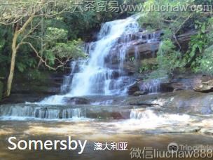 �Ĵ�����-Somersby