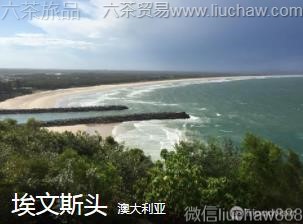 �Ĵ�����-����˹ͷ