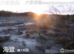 �Ĵ�����-������