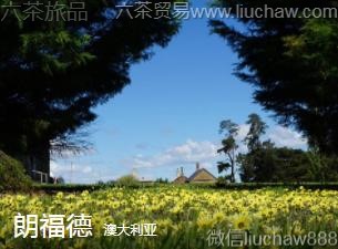 �Ĵ�����-�ʸ���