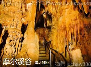 �Ĵ�����-Ħ��Ϫ��