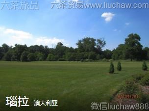 �Ĵ�����-���