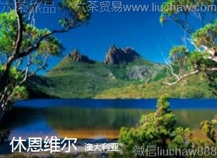 �Ĵ�����-�ݶ�ά��