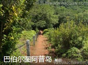 ����-�Ͳ���ͼ���յ�